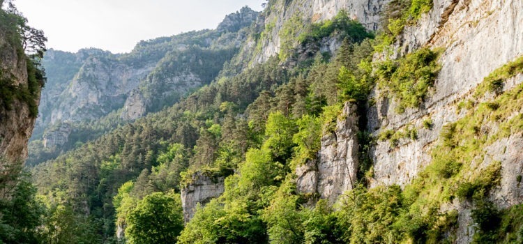 Inscrivez vous à une de nos deux randonnées : Le Sentier de la Vallée du Tarn et Le Sentier du Piémont Pyrénéen